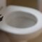 Toilet Repair | ASA PLUMBING ARIZONA